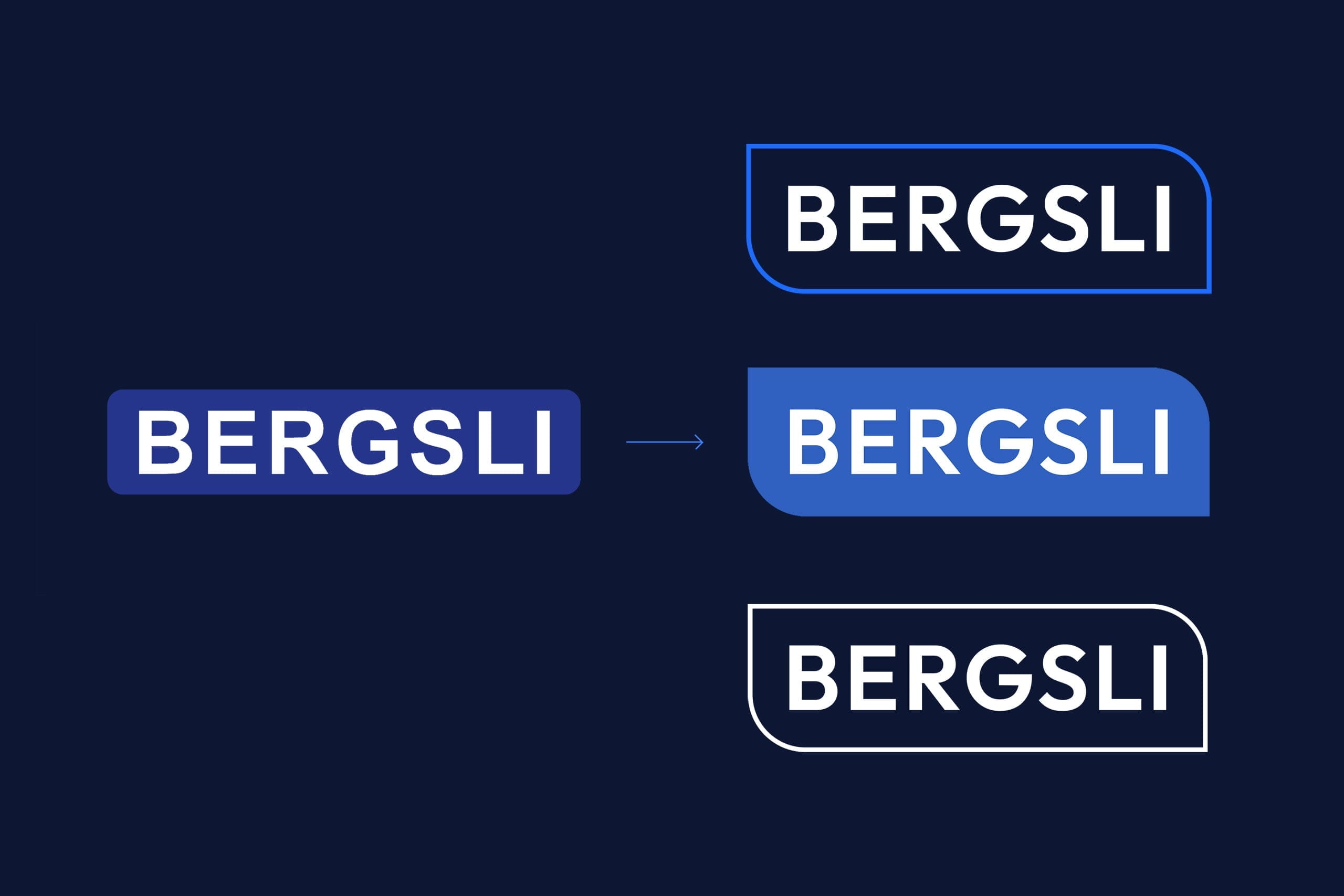 Bilde av logoer for Bergsli