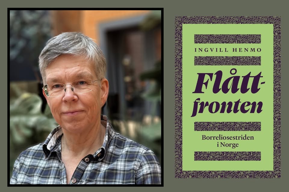 Ingvill Henmo: Flåttfronten